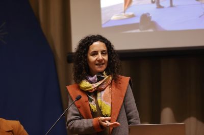 El trabajo de la U. de Chile trabajo está siendo coordinado por la académica de la Facultad de Derecho, Rocío Lorca.